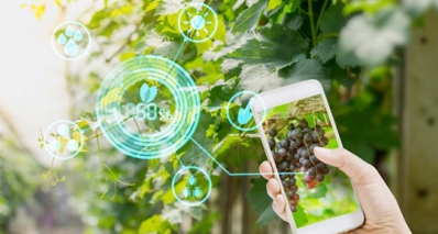AgriTech - mô hình phát triển công nghệ nông nghiệp thông minh được nhiều CEO tại Việt Nam hướng đến