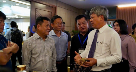 Da Nang Advances the Development of Ngoc Linh Ginseng from a National Product to a Global Brand