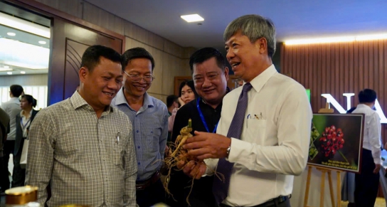 Đà Nẵng thúc đẩy phát triển Sâm Ngọc Linh từ sản phẩm quốc gia trở thành thương hiệu toàn cầu