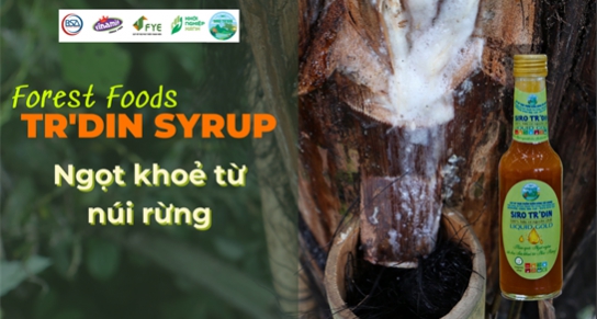Dự án “Forest Food” với sản phẩm Đường Tự nhiên Hữu cơ