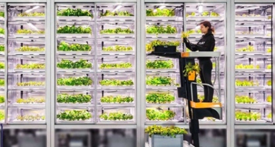 Khởi nghiệp canh tác thẳng đứng đầu tiên vượt qua cột mốc 1 tỷ USD