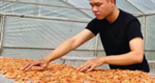 Khởi nghiệp nuôi tôm rừng, chàng trai kiến trúc tạo việc làm cho hàng chục người