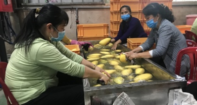 Khởi nghiệp phân trùn quế hữu cơ từ phế phẩm bỏ đi