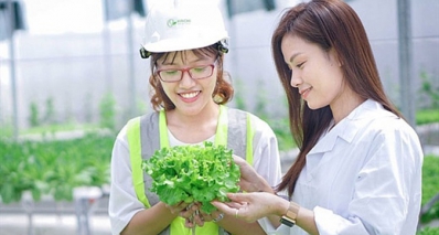 Khởi nghiệp sáng tạo hệ thống thuỷ canh: Chi phí thấp, nhưng hiệu quả cao