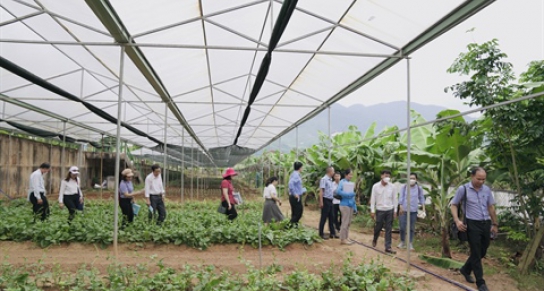 Kiểm tra, đánh giá cuối kỳ và nghiệm thu dự án “Ứng dụng khoa học kỹ thuật xây dựng mô hình sản xuất rau hữu cơ tại thành phố Đà Nẵng”