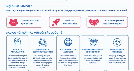 Pre-DAVAS – An International Business Connection Platform in Da Nang