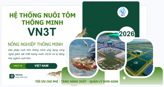 VN3T – Giải pháp tự động hóa và số hóa ngành nuôi tôm Việt Nam